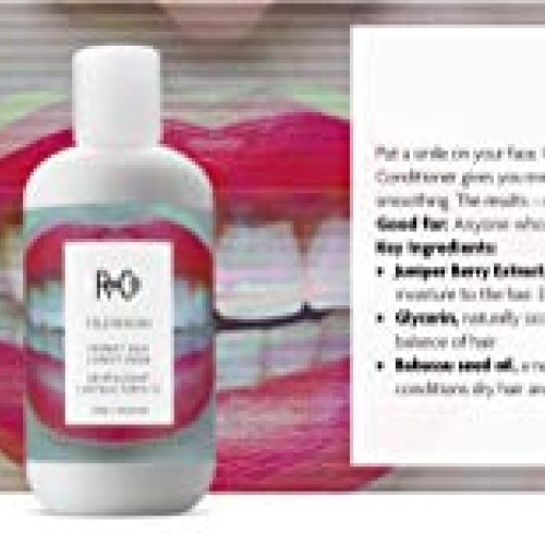 R+Co Television Perfect Hair Conditioner, 8.5 Fl. Oz