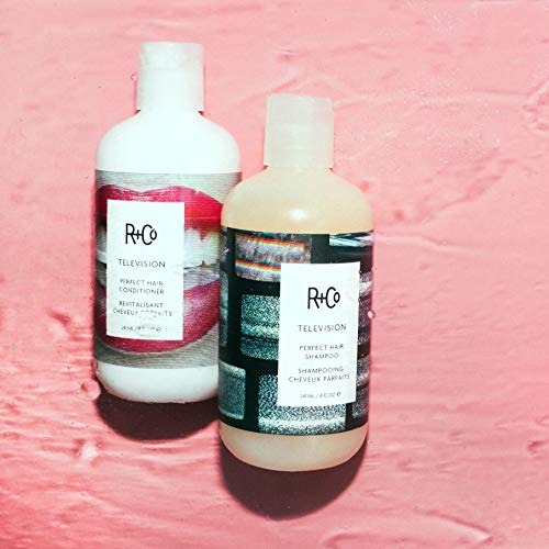 R+Co Television Perfect Hair Shampoo, 8.5 Fl Oz