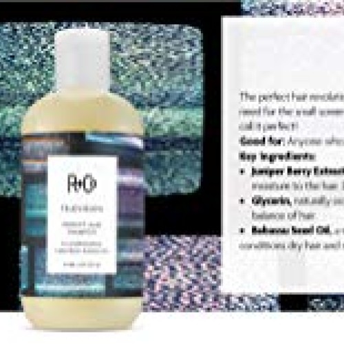 R+Co Television Perfect Hair Shampoo, 8.5 Fl Oz