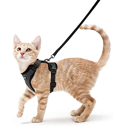 rabbitgoo Cat Harness and Leash for Walking, Escape Proof Soft Ad...