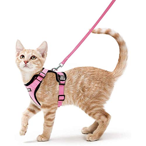 rabbitgoo Cat Harness and Leash for Walking, Escape Proof Soft Ad...