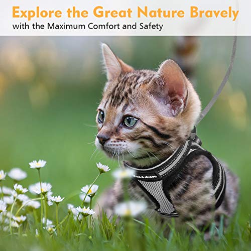 rabbitgoo Cat Harness and Leash Set for Walking Escape Proof, Adj...