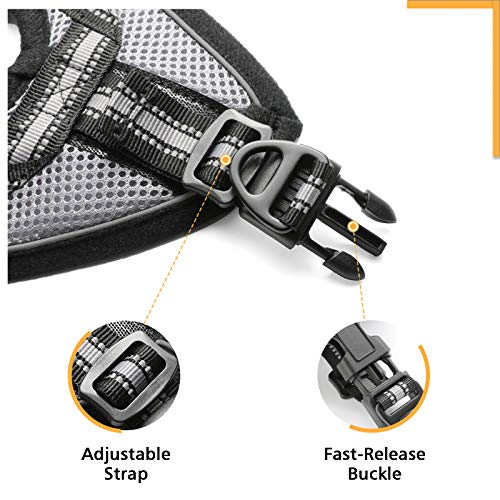 rabbitgoo Cat Harness and Leash Set for Walking Escape Proof, Adj...