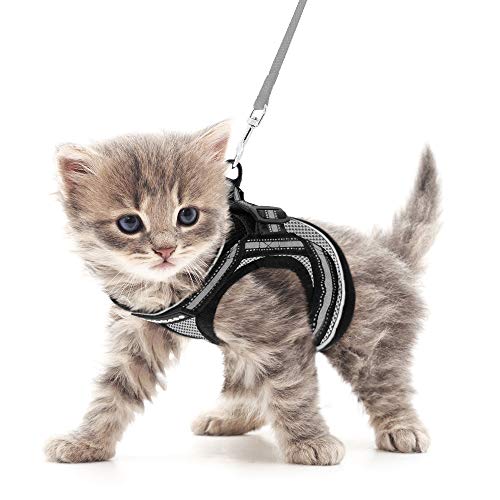 rabbitgoo Cat Harness and Leash Set for Walking Escape Proof, Adj...