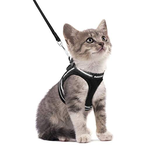 rabbitgoo Cat Harness and Leash Set for Walking Escape Proof, Adj...