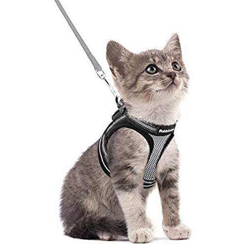 rabbitgoo Cat Harness and Leash Set for Walking Escape Proof, Adj...