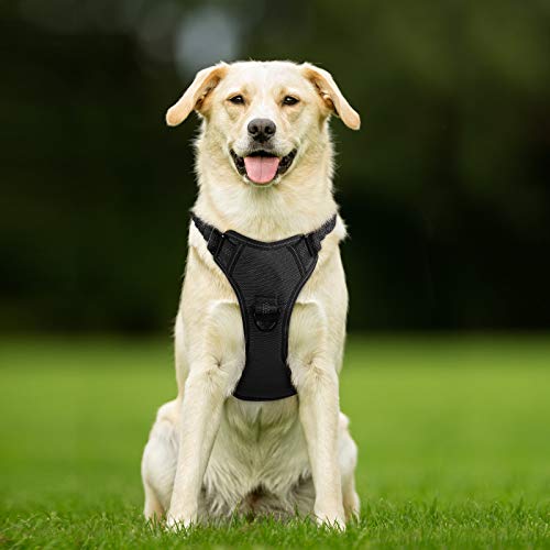 rabbitgoo Dog Harness, No Pull Dog Vest Harness with Shock-Absorb...