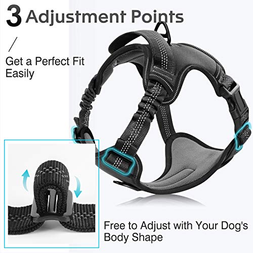 rabbitgoo Dog Harness, No Pull Dog Vest Harness with Shock-Absorb...