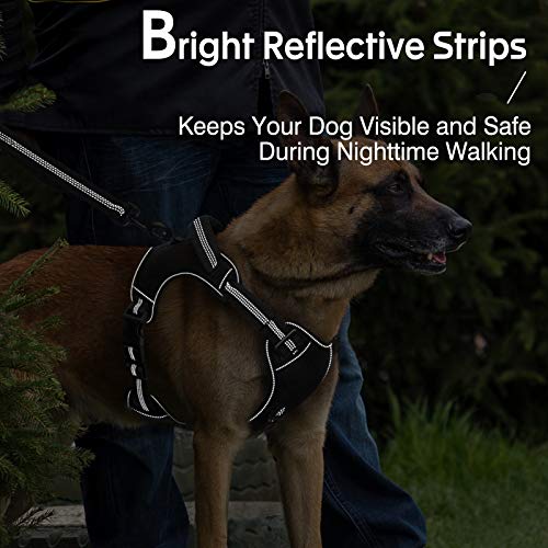 rabbitgoo Dog Harness, No Pull Dog Vest Harness with Shock-Absorb...