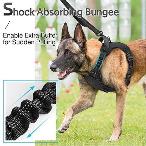 rabbitgoo Dog Harness, No Pull Dog Vest Harness with Shock-Absorb...