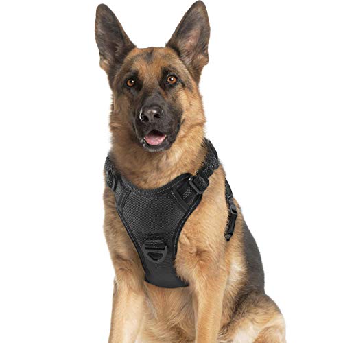 rabbitgoo Dog Harness, No Pull Dog Vest Harness with Shock-Absorb...