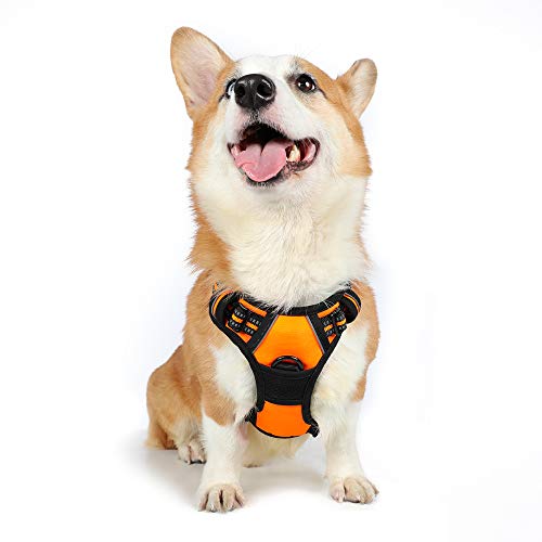 rabbitgoo Dog Harness,No-Pull Pet Harness with 2 Leash Clips,Adju...