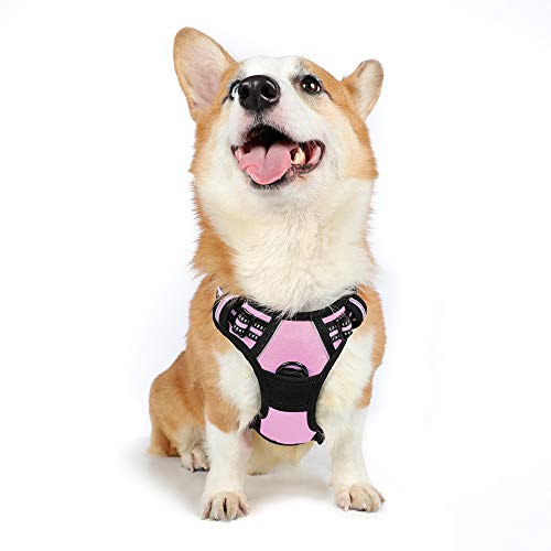 rabbitgoo Dog Harness, No-Pull Pet Harness with 2 Leash Clips, Ad...