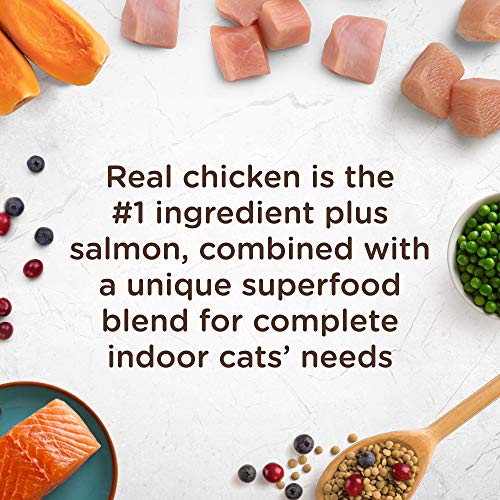 Rachael Ray Nutrish Indoor Complete Premium Natural Dry Cat Food,...