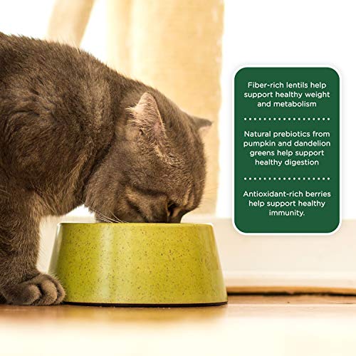 Rachael Ray Nutrish Indoor Complete Premium Natural Dry Cat Food,...