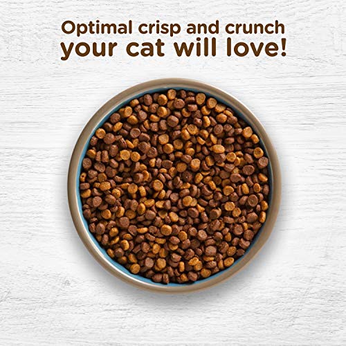 Rachael Ray Nutrish Indoor Complete Premium Natural Dry Cat Food,...
