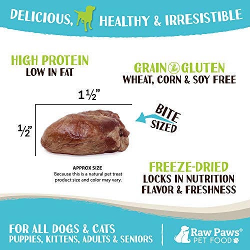 Raw Paws Pet Freeze Dried Chicken Hearts for Dogs & Cats, 4-oz - ...