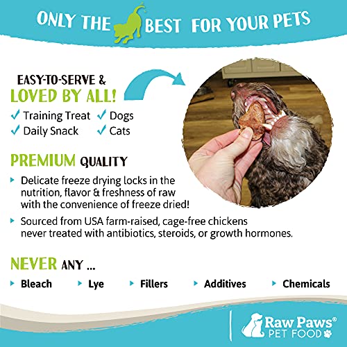 Raw Paws Pet Freeze Dried Chicken Hearts for Dogs & Cats, 4-oz - ...