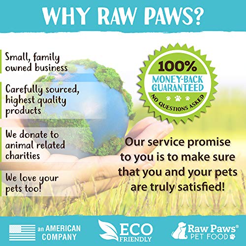 Raw Paws Pet Freeze Dried Chicken Hearts for Dogs & Cats, 4-oz - ...