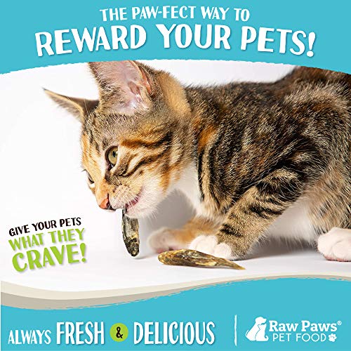 Raw Paws Pet Freeze Dried Minnows for Dogs & Cats, 2-oz - USA Fis...