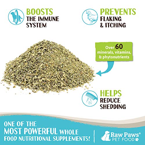 Raw Paws Pet Organic Sea Kelp for Dogs & Cats, 8-oz Seaweed Powde...