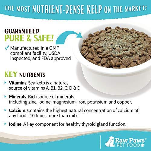 Raw Paws Pet Organic Sea Kelp for Dogs & Cats, 8-oz Seaweed Powde...