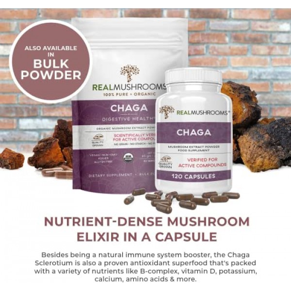 Real Mushrooms Chaga Capsules - Organic Mushroom Supplement with ...