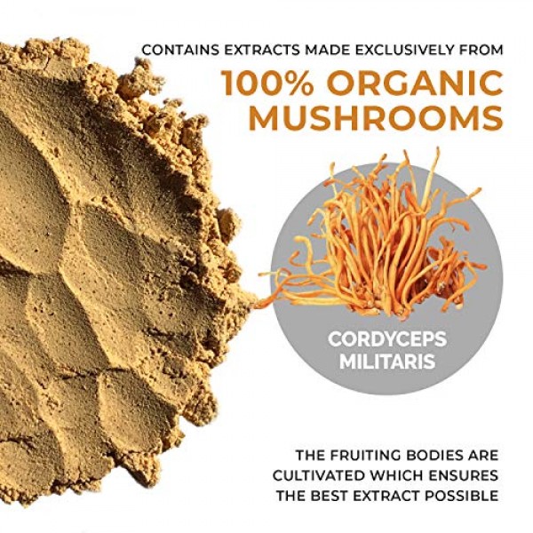 Real Mushrooms Cordyceps Powder - Performance Mushroom Extract Po...