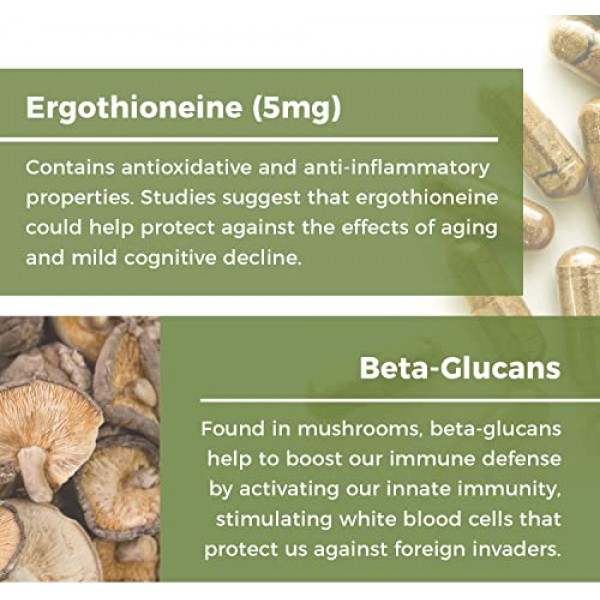 Real Mushrooms L-Ergothioneine, Oyster, Shiitake Mushroom Extract...