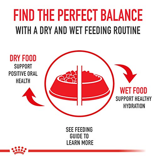 Royal Canin Adult Cat Sensitive Digestion Dry Adult Cat Food, 15 ...