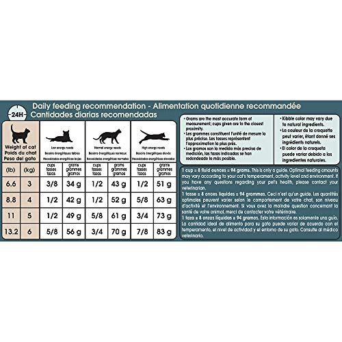 Royal Canin Digestive Care Dry Cat Food, 6 Pounds. Bag