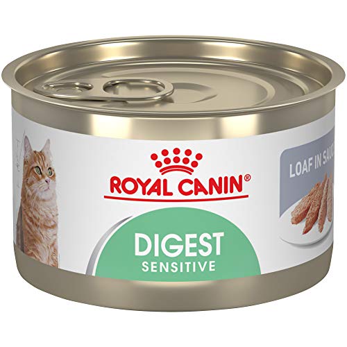 Royal Canin Feline Care Nutrition Digest Sensitive Loaf in Sauce ...