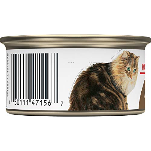 Royal Canin Feline Health Nutrition Aging 12+ Thin Slices In Grav...