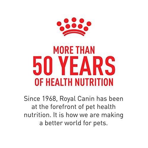 Royal Canin Feline Health Nutrition Aging 12+ Thin Slices In Grav...