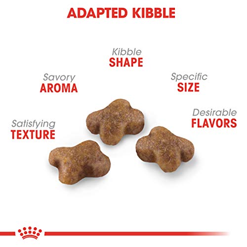 Royal Canin Feline Health Nutrition Dry Food for Young Kittens, 7...