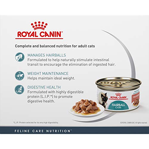 Royal Canin Hairball Care Thin Slices in Gravy Wet Cat Food, 3 oz...