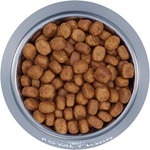 Royal Canin Oral Care Dry Cat Food, 6 lb. bag