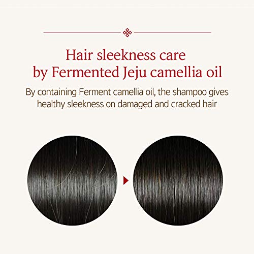Ryo Damage Care & Nourishing Conditioner 500ml16.9oz Hair stren...