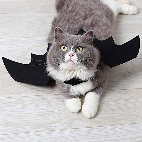 Rypet Dog Bat Costume - Halloween Pet Costume Bat Wings Cosplay D...