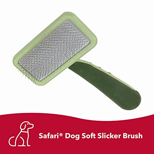 Coastal Pet - Safari - Dog Soft Slicker Brush - Dog Grooming Supp...