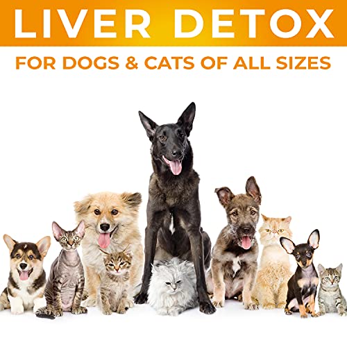 Dog Supplement and Cat Supplement - Milk Thistle by SafeBay – 450...