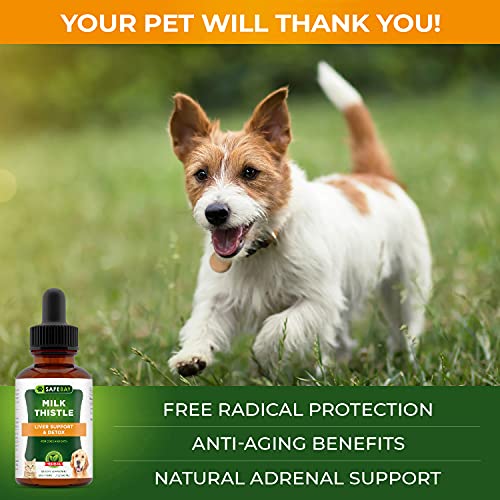 Dog Supplement and Cat Supplement - Milk Thistle by SafeBay – 450...