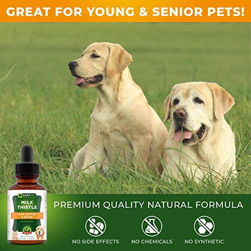 Dog Supplement and Cat Supplement - Milk Thistle by SafeBay – 450...