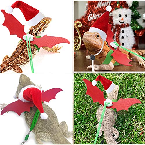 Sawyd Christmas Bearded Dragon Santa Hat Scarf Lizard Leash Harne...