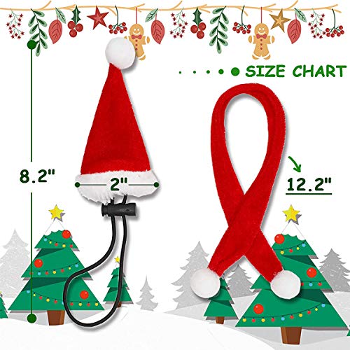 Sawyd Christmas Bearded Dragon Santa Hat Scarf Lizard Leash Harne...