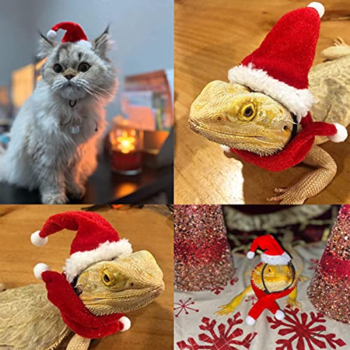 Sawyd Christmas Bearded Dragon Santa Hat Scarf Lizard Leash Harne...