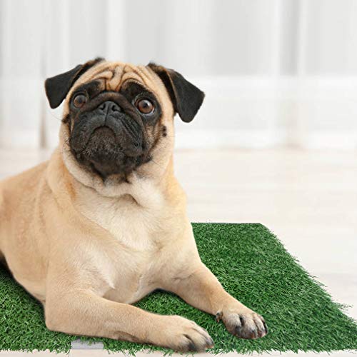 SCENEREAL Artificial Dog Grass Mat with Washable Pee Pads Set 2 P...