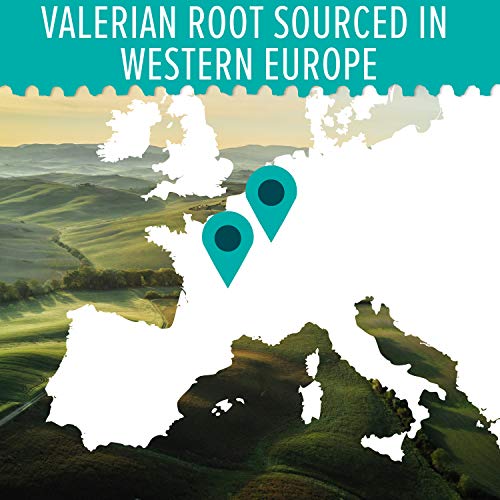 Schiff Valerian Root Extract & Hops Flower Vegetarian Capsules, ...