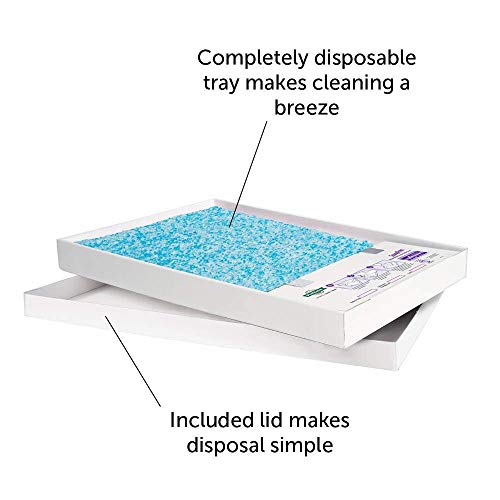 ScoopFree Litter Tray Refills with Premium Blue Crystals