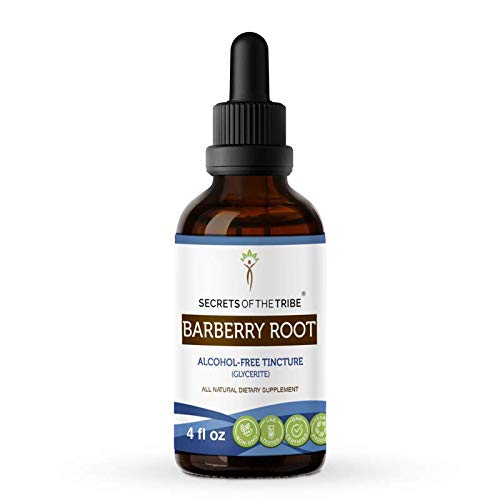 Barberry Root Tincture Alcohol-Free Extract, Organic Barberry Be...